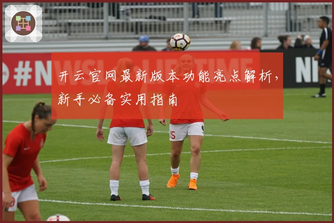 开云官网最新版本功能亮点解析,新手必备实用指南